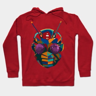 Colorful ZX Hoodie